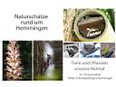 natur-hemmingen-w.jpg