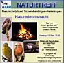 2014-09-13-titelbild-Nature.jpg